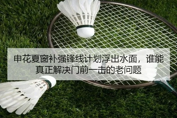 申花夏窗补强锋线计划浮出水面，谁能真正解决门前一击的老问题